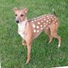 TT profil fotoğrafı
