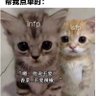 ……. 的头像