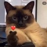 ailoOoveme profil fotoğrafı