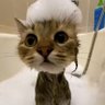 Profilbild von Jackypoo