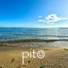 pito 的头像