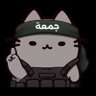 HFSP 🔻's profile picture