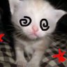Фото профиля • Masky's lover, Stamps =^•w•^=