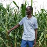 Profilbild von Alex Kimutai