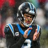 The Panthers Office 的头像