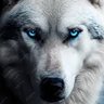 Profilbild von Weedaxx