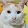 そーいちろ's profile picture