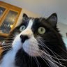 @cjam.lol profil fotoğrafı