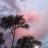 Argenta 的头像