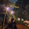 TanYo profil fotoğrafı