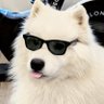 Maca 🇨🇱 🐻❄️☝🌌🖊🧐 profil fotoğrafı