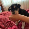 stefy profil fotoğrafı