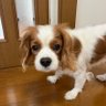 ヤオッチャン profil fotoğrafı