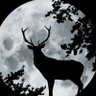 𝔐 𝟡𝟝's profile picture