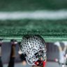 Buckeyes profil fotoğrafı