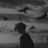 Фото профиля don't trust everything