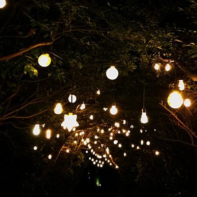 _picnic05's profile picture