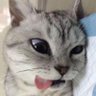 Profilbild von อริ๊งงงงงงงงง ft.☁️❔