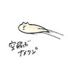 Profilbild von Poe Allen