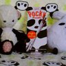 ★ル ナ☆ぼっちぐらし! profil fotoğrafı