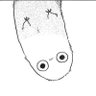 flapsticks 🐛 moved accs 的头像