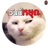 Profilbild von แมวไม่มีหนวด