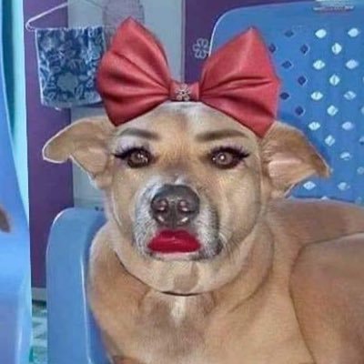 Thaireactionvid's profile picture