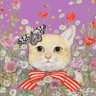 ふわえみ profil fotoğrafı