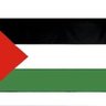 Cat2510🇵🇸's profile picture