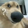 hei profil fotoğrafı