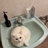 Фото профиля ばびるちんた