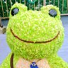 Profilbild von 田舎かえる