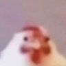 Pietrox's profile picture