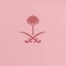 Sara Alkhodir's profile picture
