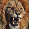 Profilbild von JRC