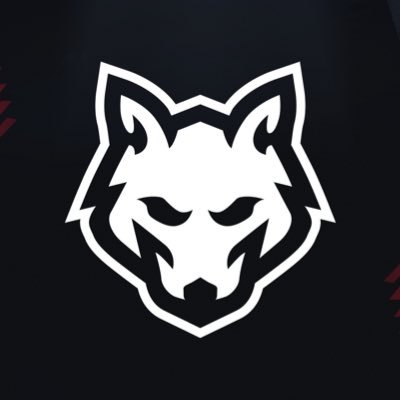 HOWL_Espor's profile picture