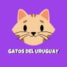 Profilbild von Gatos Del Uruguay
