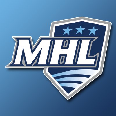 THEMHL's profile picture