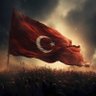 Profilbild von 🇹🇷VATANIN DELİSİ🇹🇷🇹🇷🇹🇷