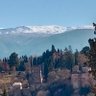 pastoreta9 profil fotoğrafı