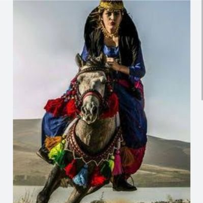 _l_Vatanperver's profile picture