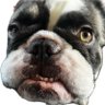 Orwas_3.0's profile picture