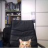 Profilbild von Dr. Shitpost