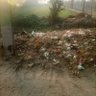 Abdullah Khan's profile picture