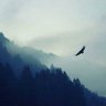يونس profil fotoğrafı