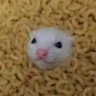 Pawlaqu's profile picture