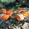 Фото профиля HengHeng888