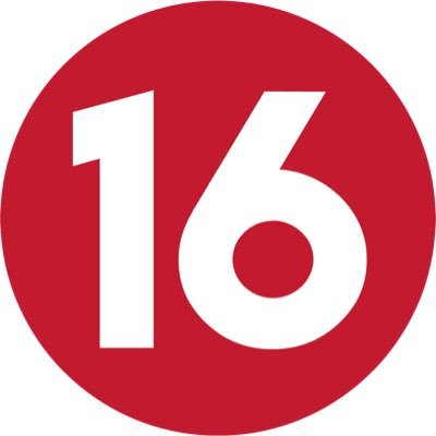 16_mesures's profile picture