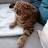 Doreen u Findus😺 的头像