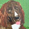 Profilbild von Violet the Newfy